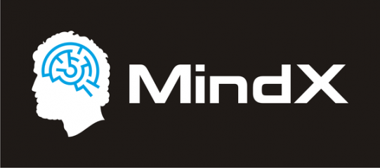 Vienna Escape Review: MindX